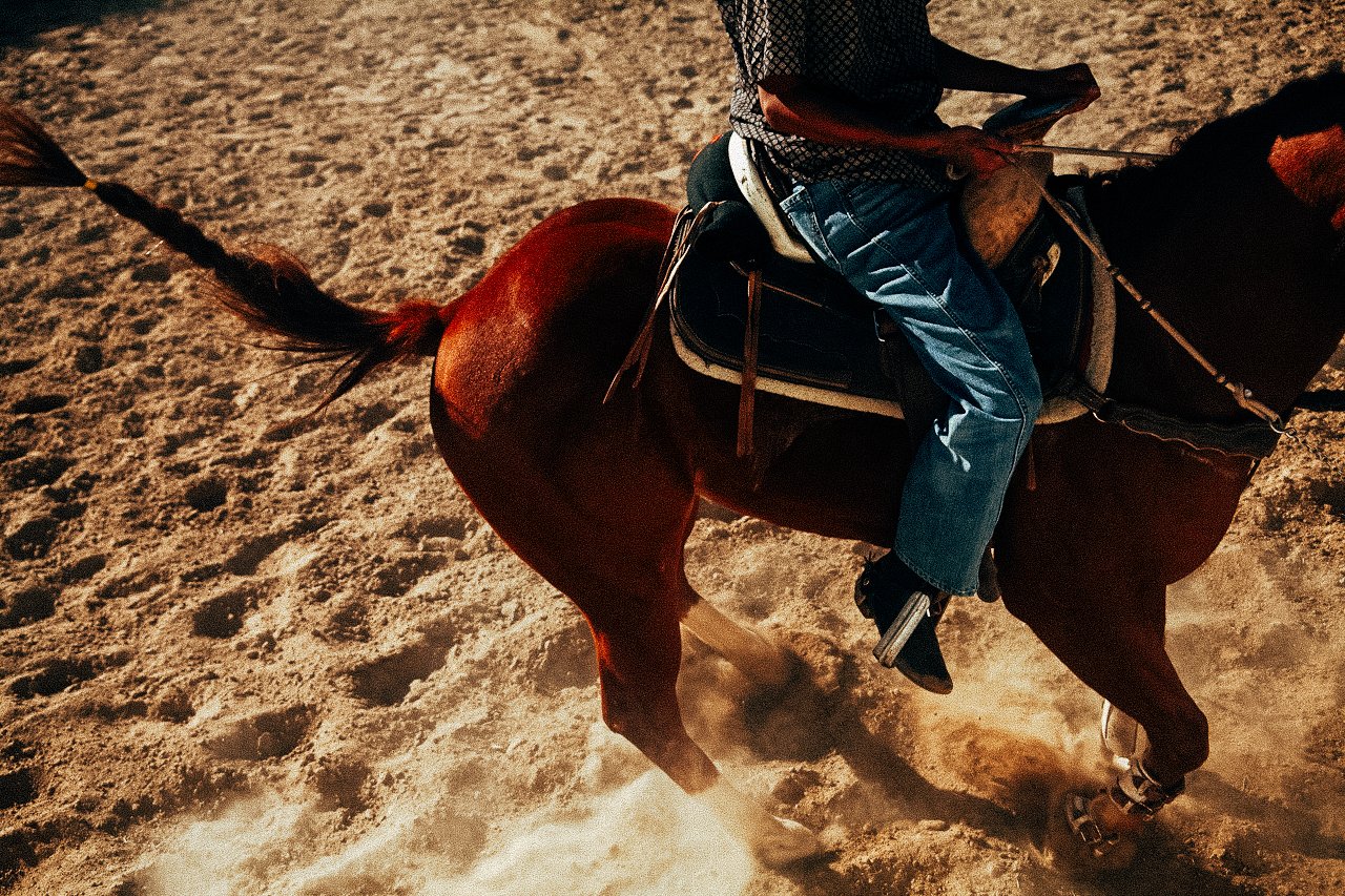 EM-O filtered image 14