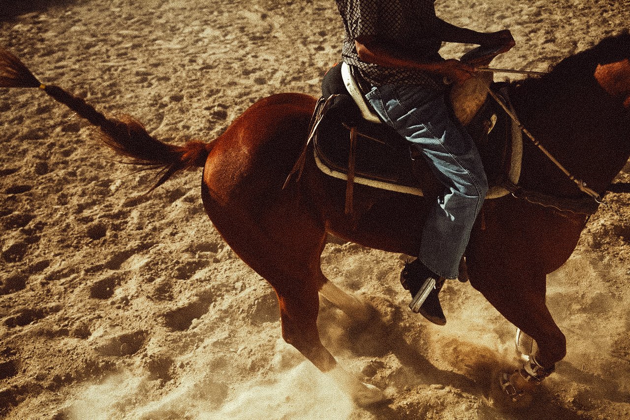 EM-O filtered image 15