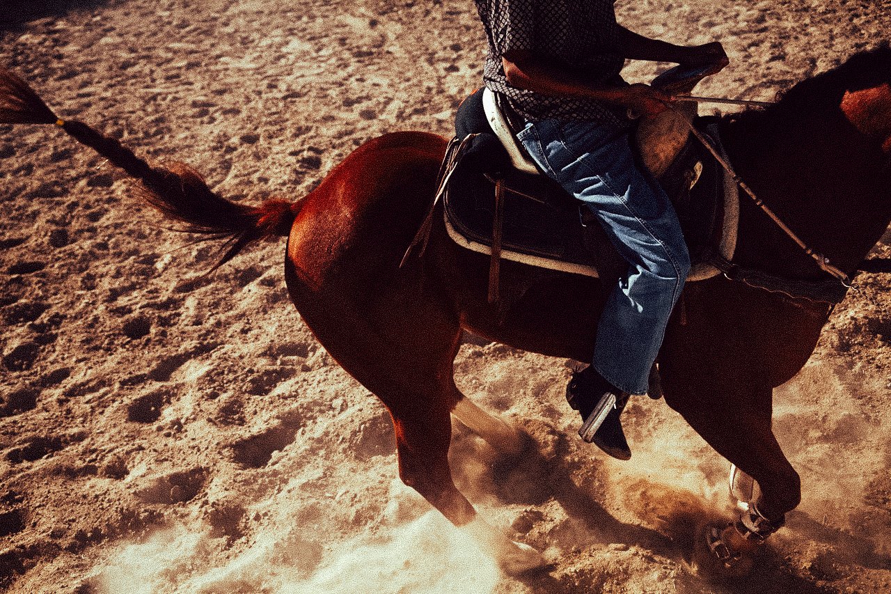 EM-O filtered image 5