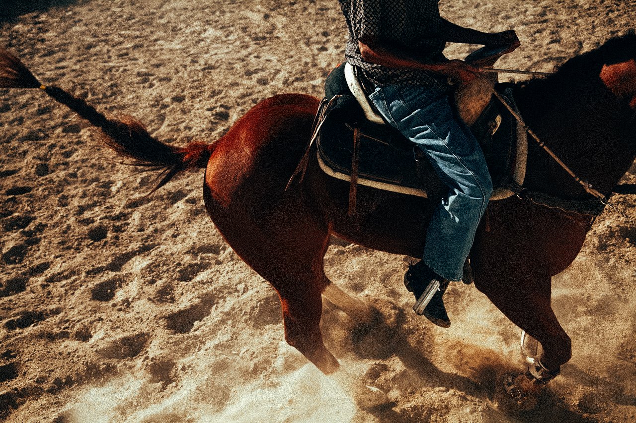 EM-O filtered image 6