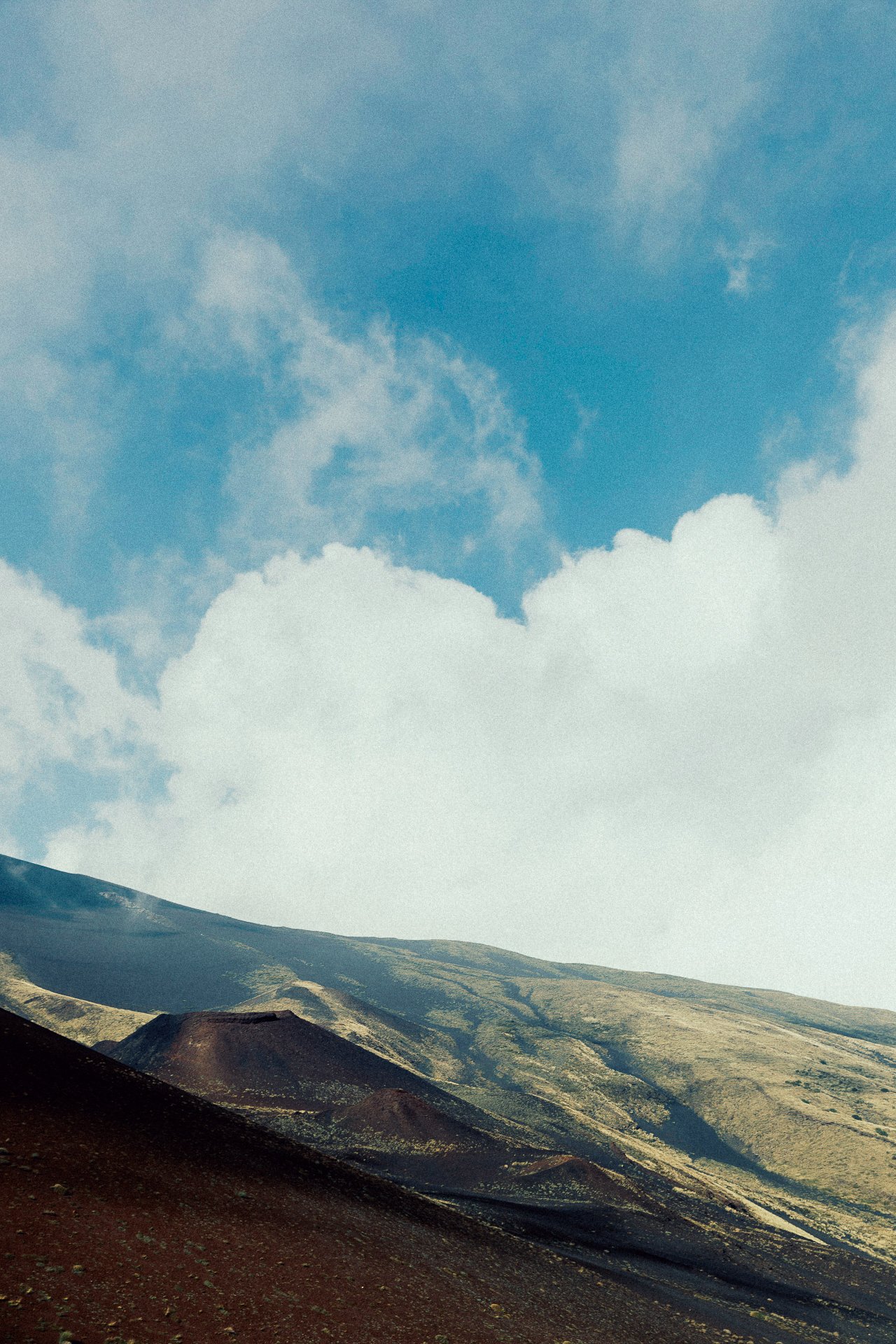 EM-V filtered image 1