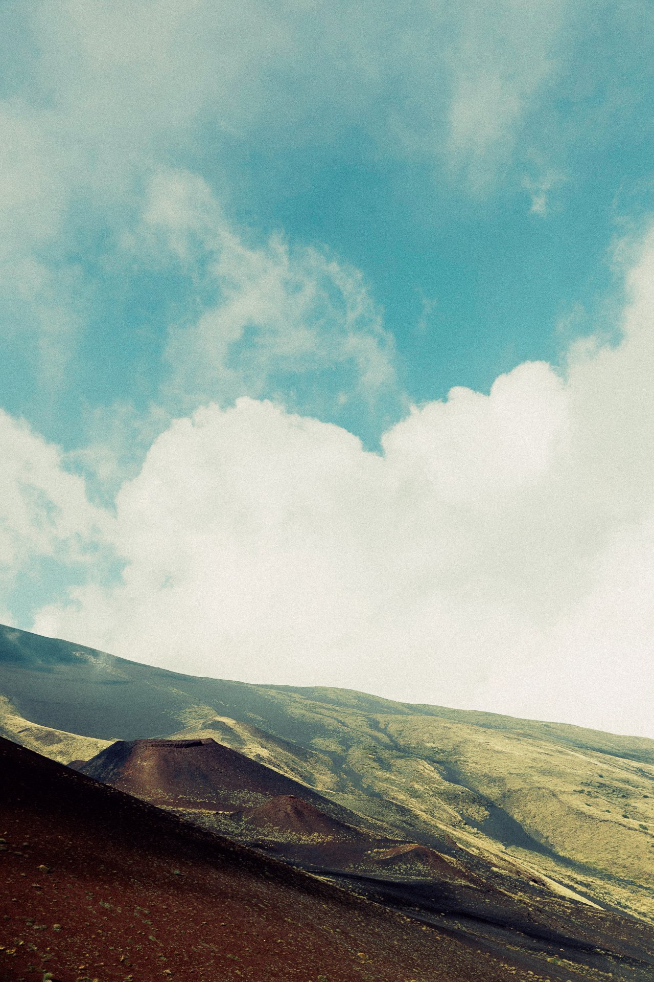 EM-V filtered image 4