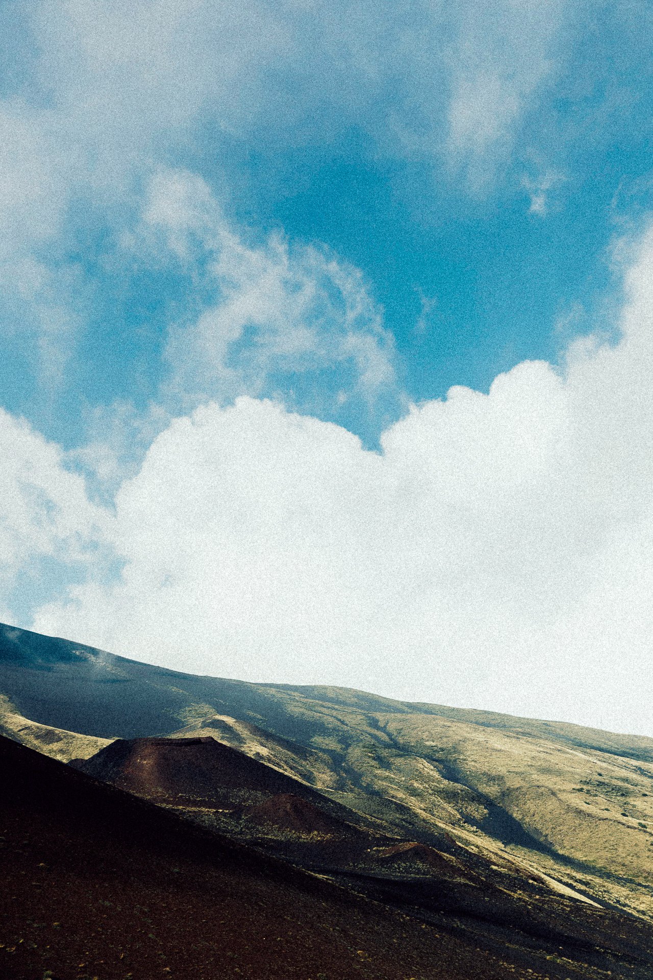 EM-V filtered image 6