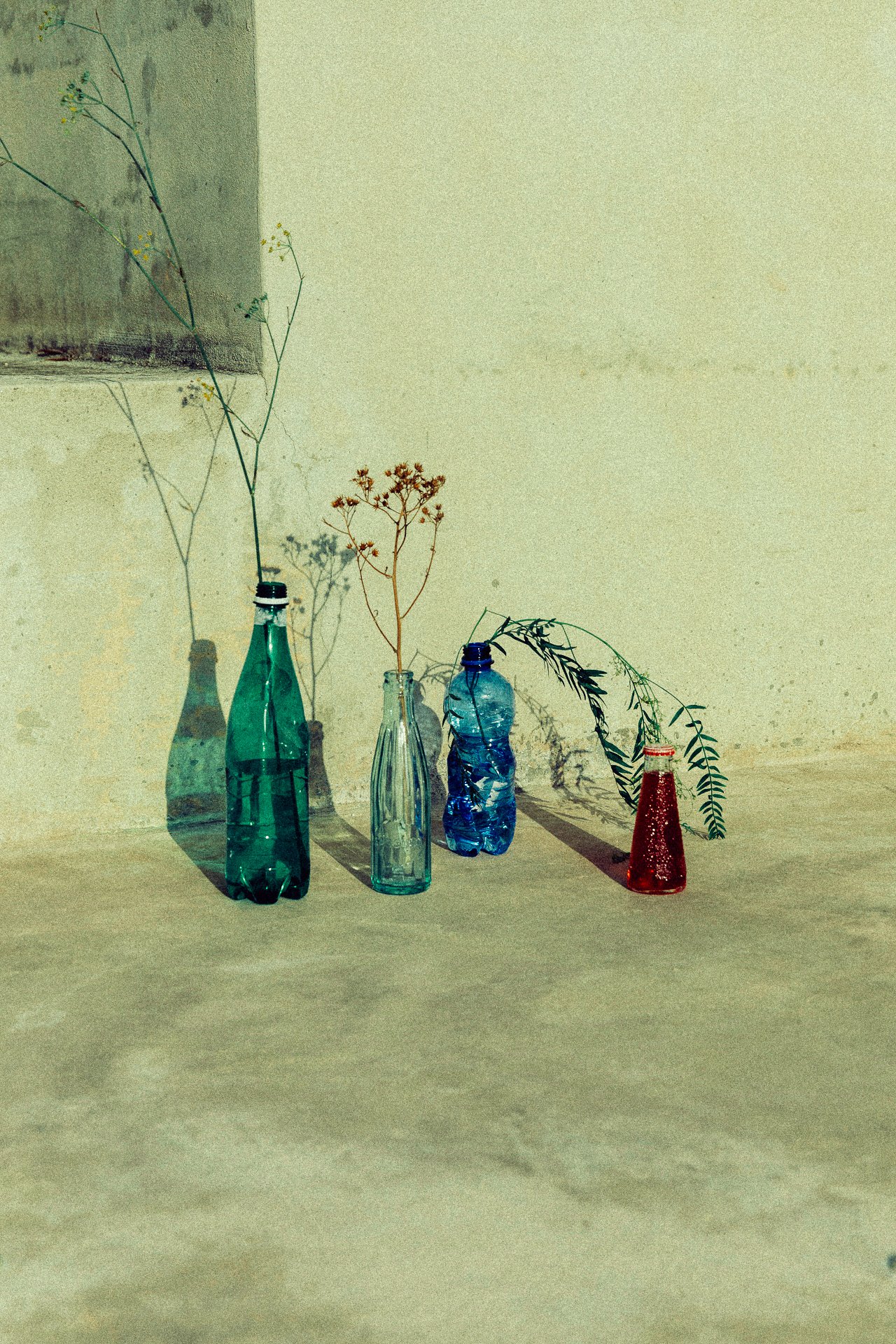 EM-W filtered image 5